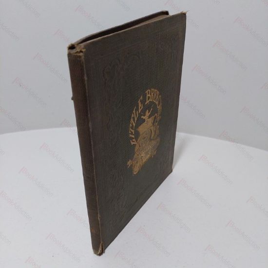 Picture of The Stories of Little Breeches Told, and the Pictures which Charles Bennett Drew for Them