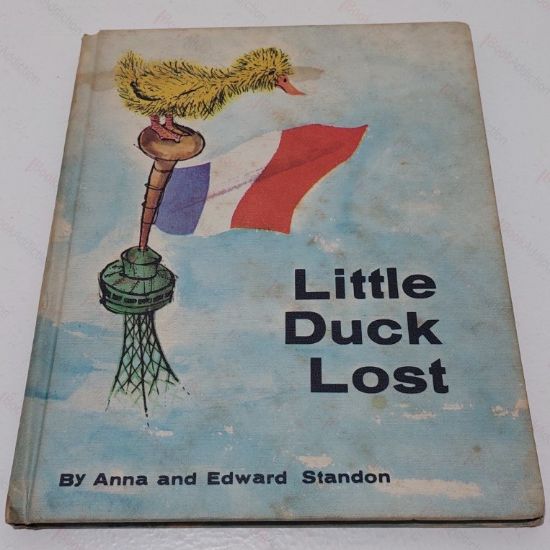 Picture of Little Duck Lost