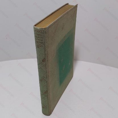 Picture of Tempel, Palaste Und Dschungel : India Journey