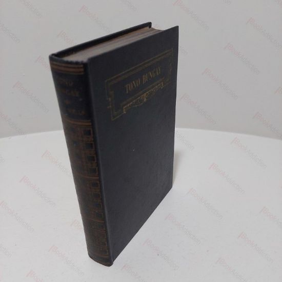 Picture of Tono Bungay