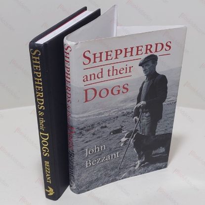 Picture of Shepherds and their Dogs