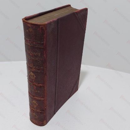 Picture of Barnaby Rudge :A Tale of the Riots of 'Eighty