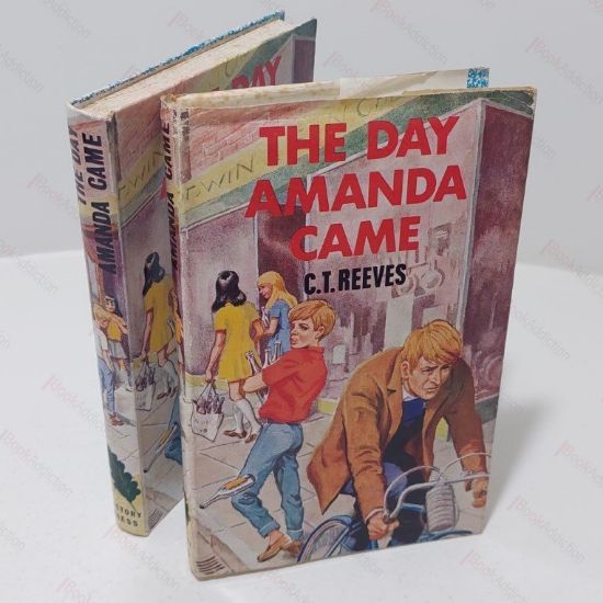 Picture of The Day Amanda Came