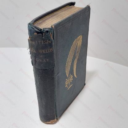 Picture of British Sea-Weeds: An Introduction to the Study of the Marine Algae of Great Britain, Ireland and The Channel Islands