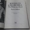 Picture of Winston Chiurchill : The Wilderness Years