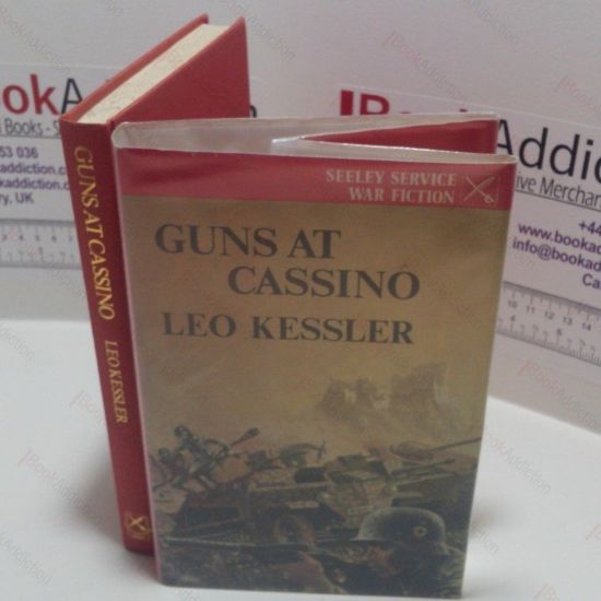 Picture of Guns at Cassino