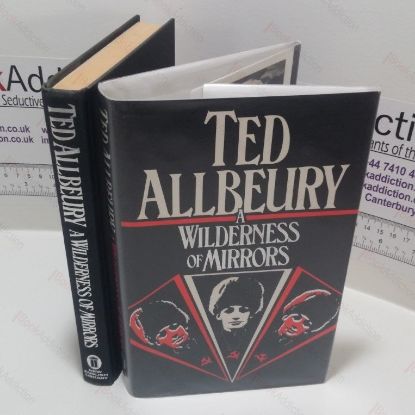 Picture of A Wilderness of Mirrors