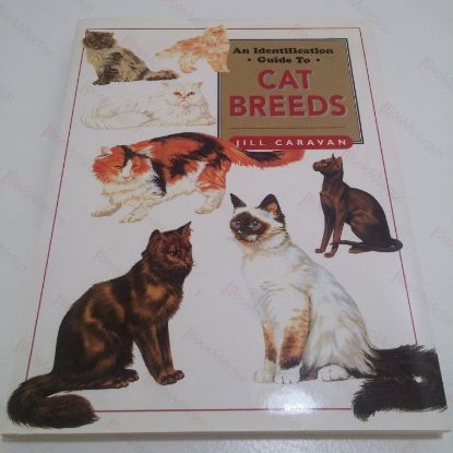 Picture of An Identification Guide to Cat Breeds