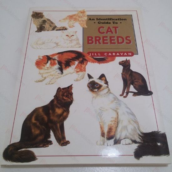 Picture of An Identification Guide to Cat Breeds