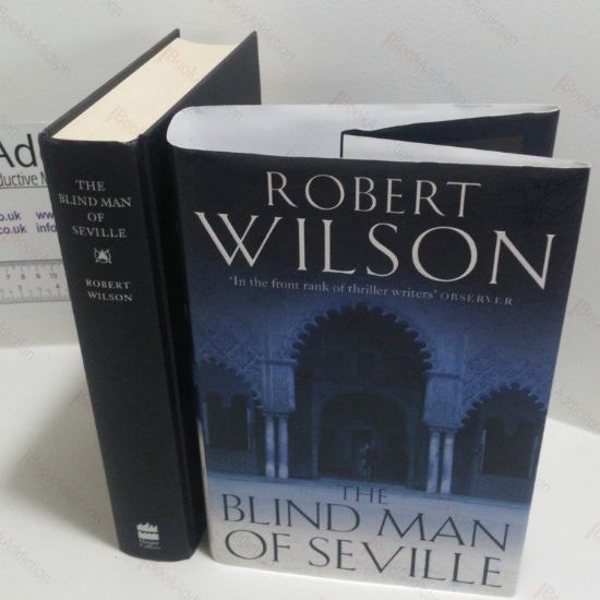 Picture of The Blind Man of Seville