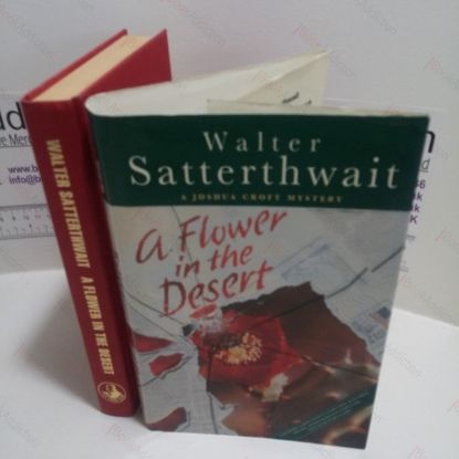 Picture of A Flower in the Desert