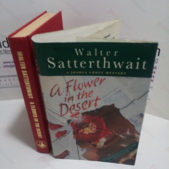 Picture of A Flower in the Desert