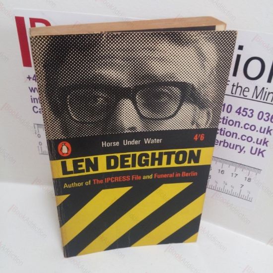 Picture of Horse Under Water