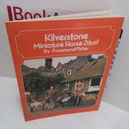 Picture of Kilverstone Miniature Horse Stud