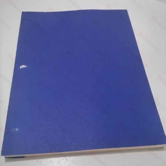 Picture of Yellowbeard Original Screenplay