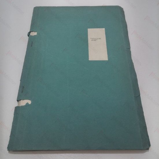 Picture of Treasure Hunt Original Screenplay