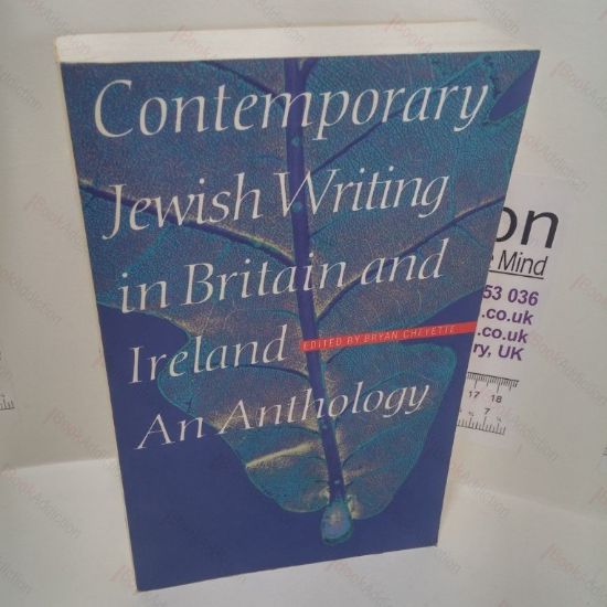Picture of Contemporary Jewish Writing in Britain and Ireland : An Anthology