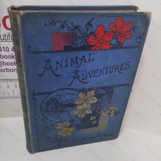 Picture of Animal Adventures