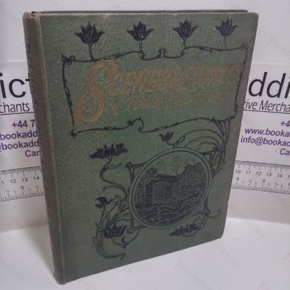 Picture of Down Shoe Lane