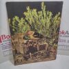 Picture of Arizona Highways : The Birds of Arizona : August 1964, Volume XL, No 8