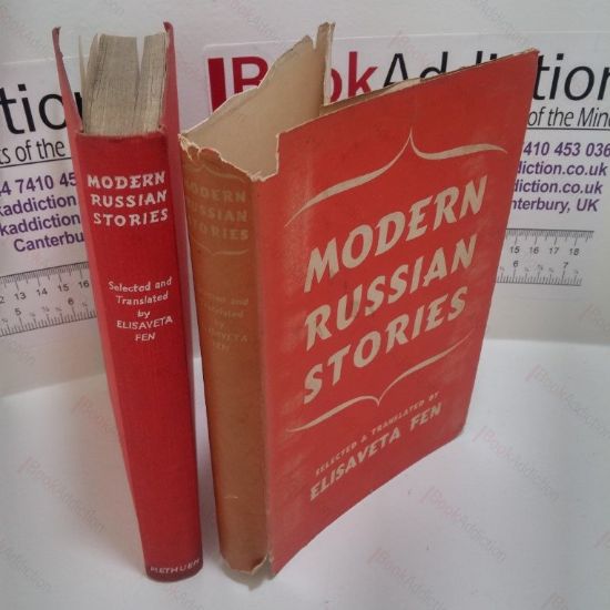 Picture of Modern Russian Stories
