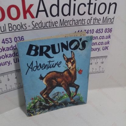 Picture of Bruno's Adventure