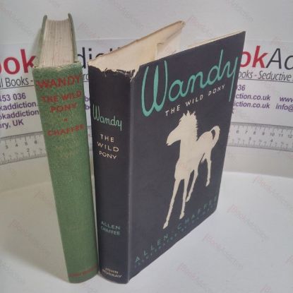 Picture of Wandy The Wild Pony