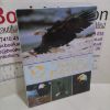 Picture of The North American Bald Eagle : A Collection of Twelve Prints