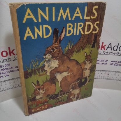 Picture of Animals & Birds