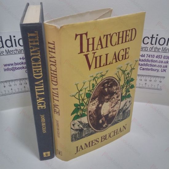 Picture of Thatched Village