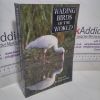 Picture of Wading Birds of the World