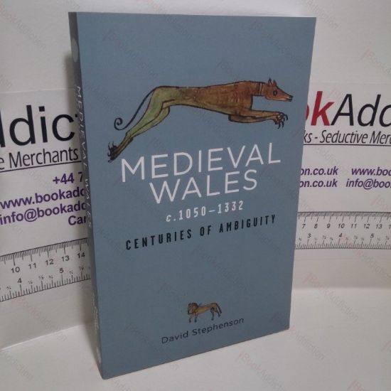 Picture of Medieval Wales c.1050-1332 : Centuries of Ambiguity (Rethinking the History of Wales Series)