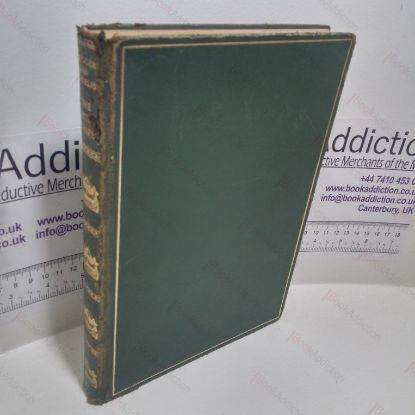 Picture of The Viking Ships