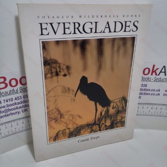 Picture of Everglades