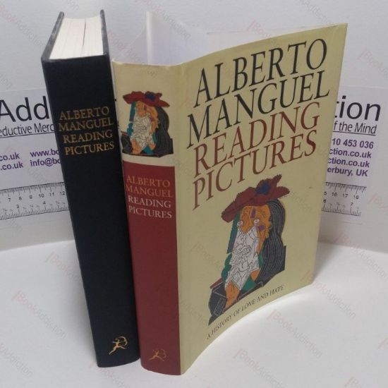 Picture of Reading Pictures : A History of Love and Hate