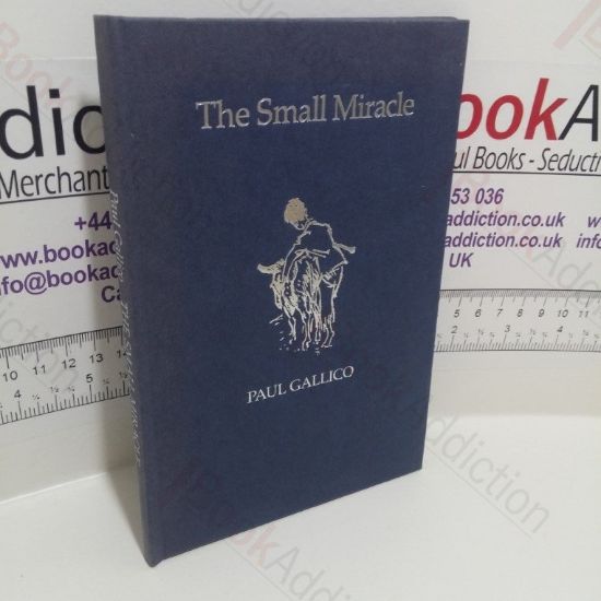 Picture of The Small Miracle