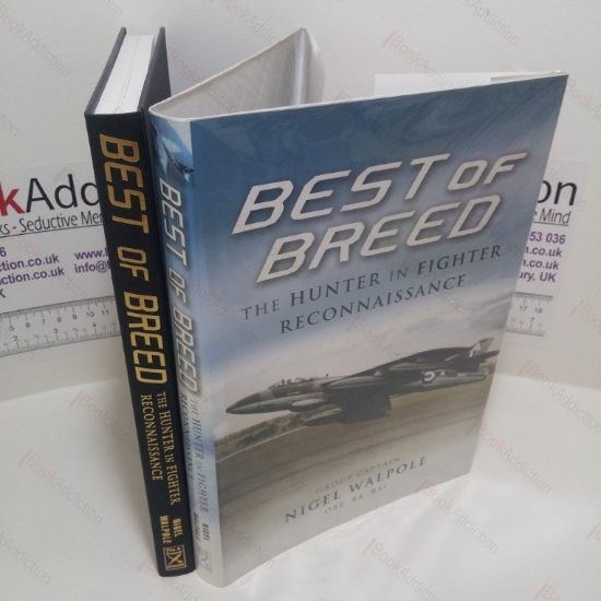 Picture of Best of Breed : The Hunter in Fighter Reconnaissance
