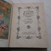 Picture of The Water-Babies : A Fairy Tale for a Land-Baby (Black's Boys' and Girls' Library)