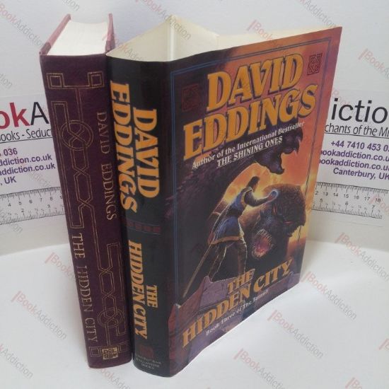 Picture of The Hidden City