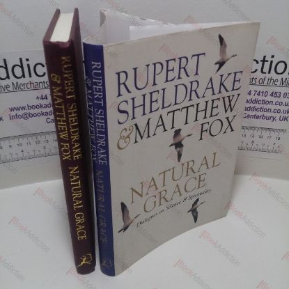 Picture of Natural Grace : Dialogues on Science and Spirituality