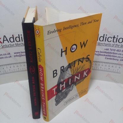 Picture of How Brains Think : Evolving Intelligences, Then and Now