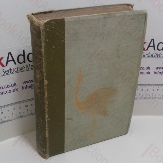 Picture of My Birds in Freedom and Captivity