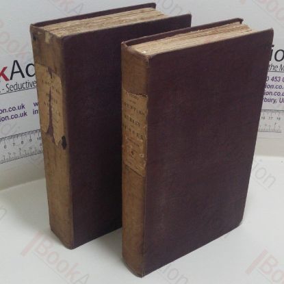 Picture of A History of the Counties of Surrey and Sussex, Illustrated in a Series of Views (Volumes I and II)