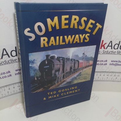 Picture of Somerset Railways (Sutton's Photographic History of Transport Series)