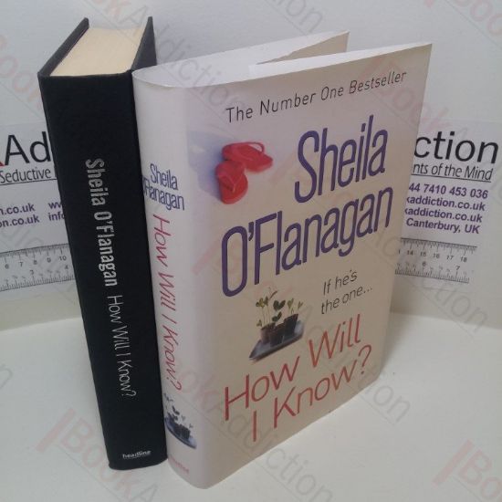 Picture of How Will I Know?