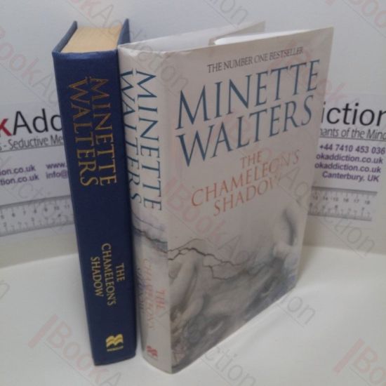 Picture of The Chameleon's Shadow (Signed)