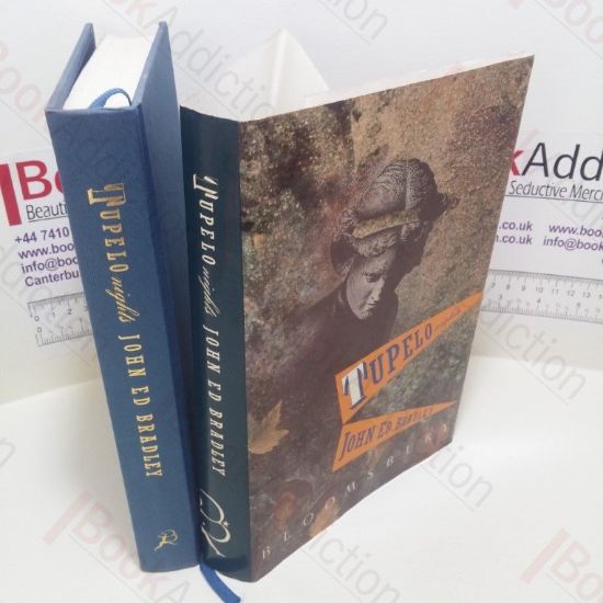 Picture of Tupelo Nights