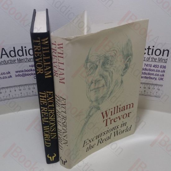 Picture of Excursions in the Real World