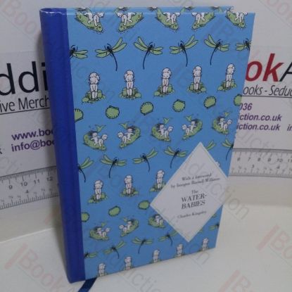 Picture of The Water-Babies (abridged)