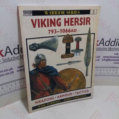 Picture of Viking Hersir, 793-1066AD (Warrior series)